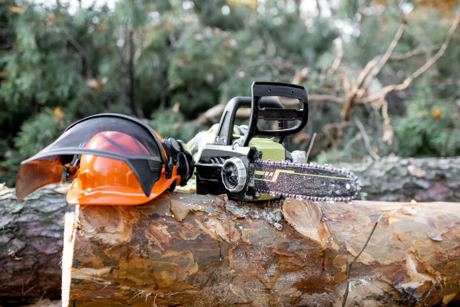 Professional Tree Company in Clearlake, CA Professional Tree Company in Clearlake, CA